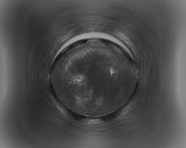 X0000086890401200704161253