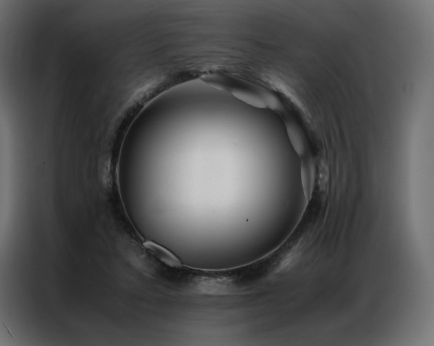 X0000086890403200704161253