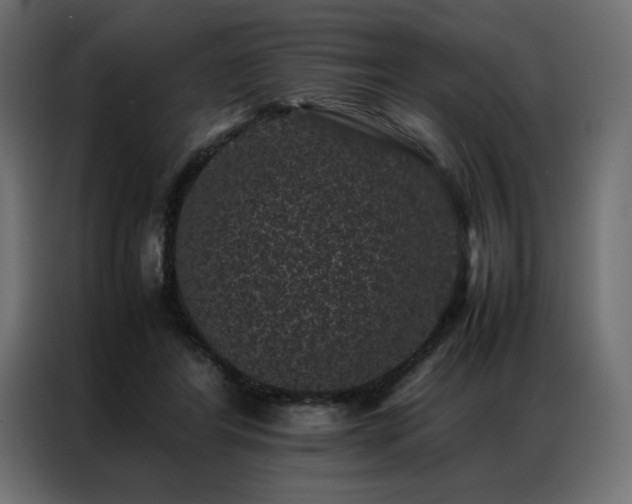 X0000086890404200704161253