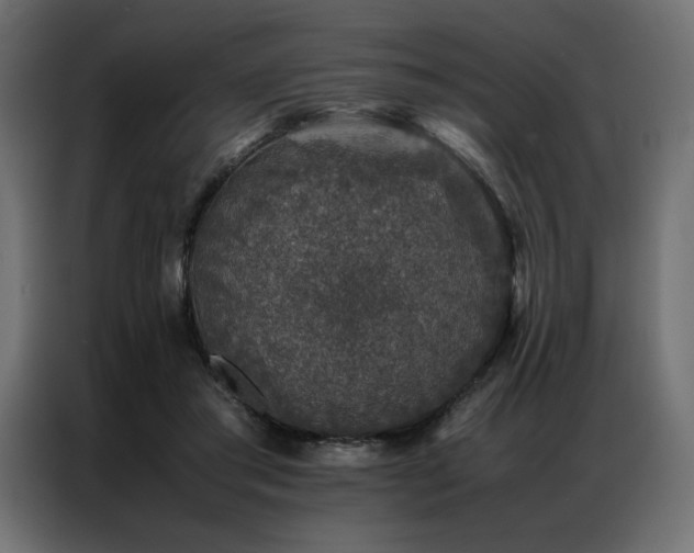 X0000086890405200704161253