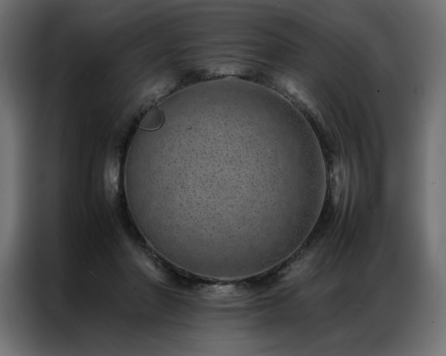 X0000086890406200704161253