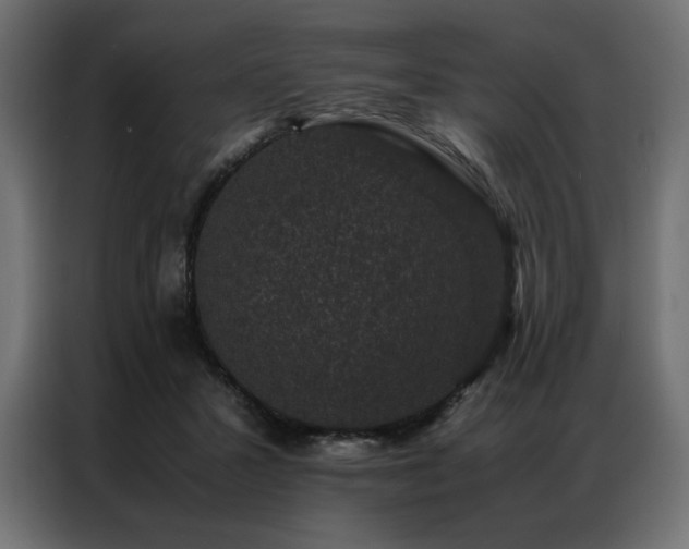 X0000086890407200704161253