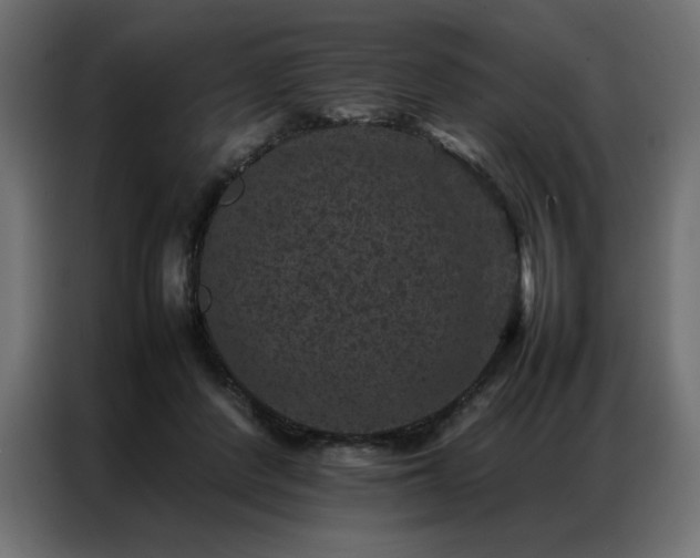 X0000086890408200704161253