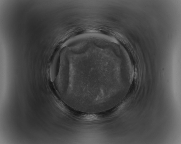 X0000086890409200704161253