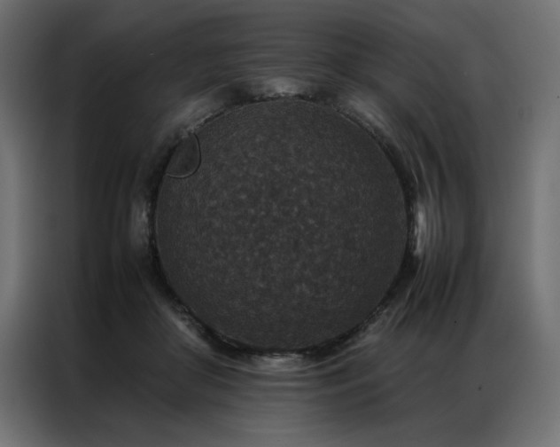 X0000086890410200704161253