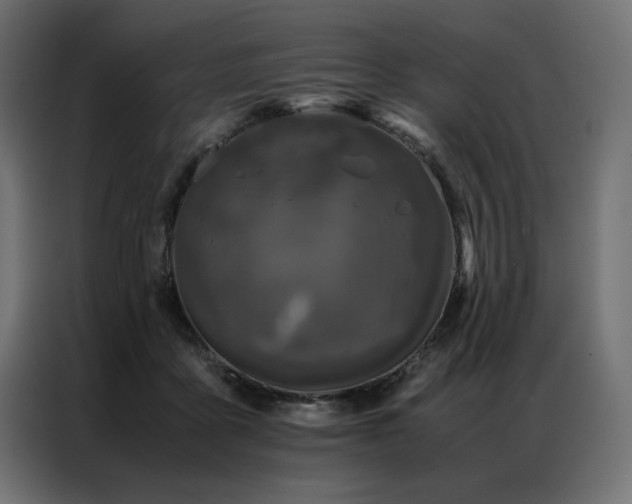 X0000086890411200704161253