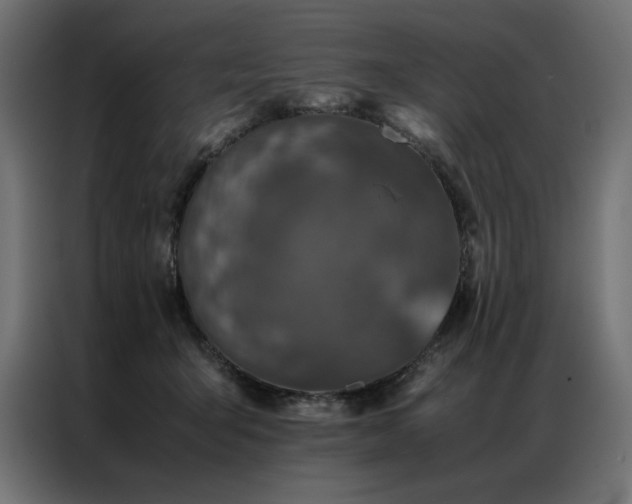 X0000086890415200704161253