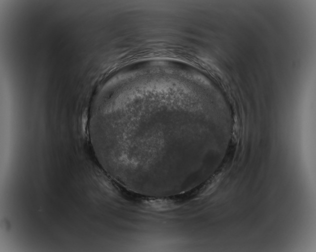 X0000086890417200704161253