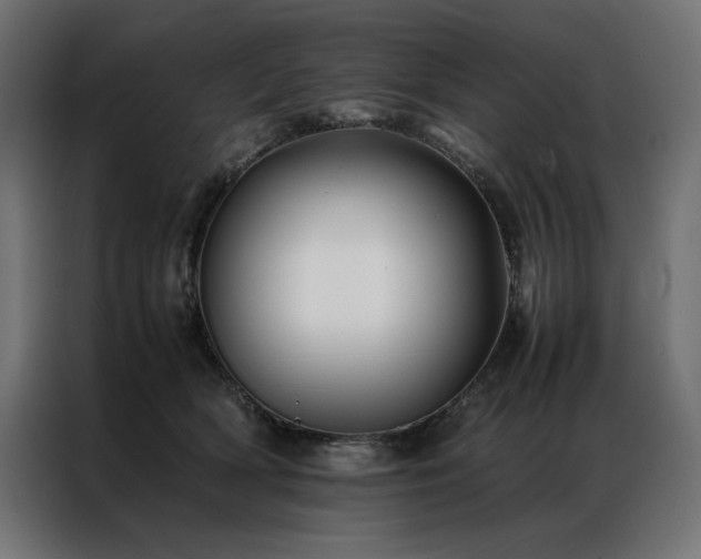 X0000086890418200704161253