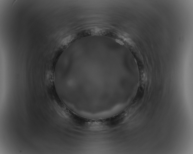 X0000086890419200704161253