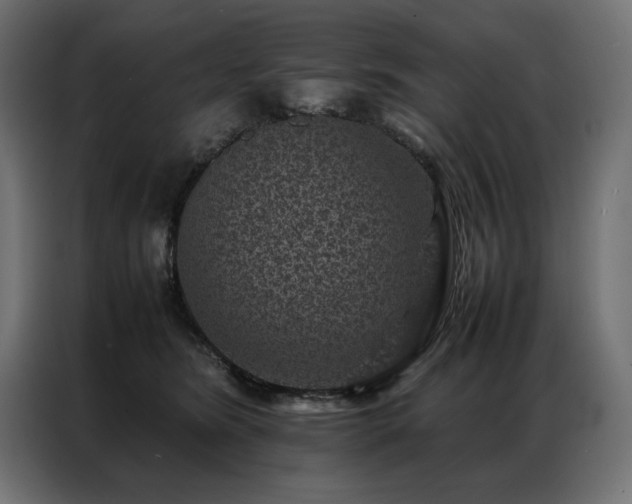 X0000086890420200704161253