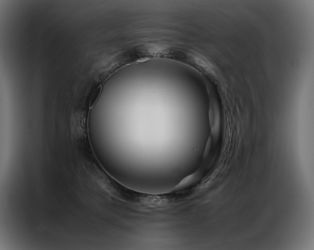 X0000086890421200704161253