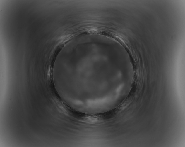 X0000086890423200704161253