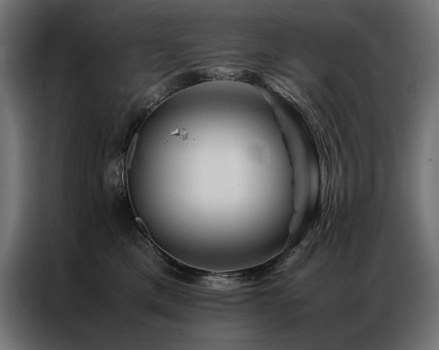 X0000086890425200704161253