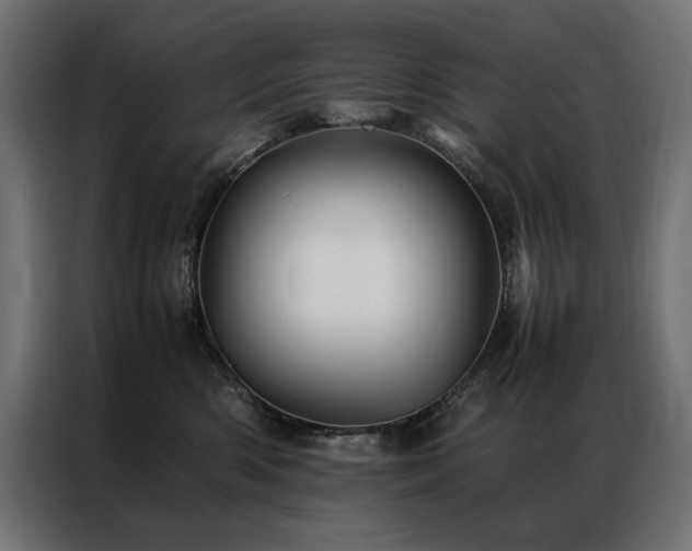 X0000086890426200704161253