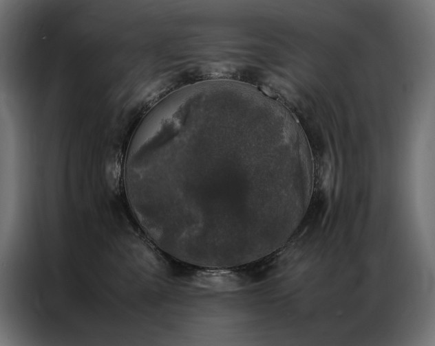 X0000086890427200704161253