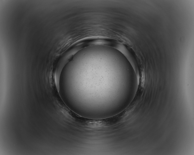 X0000086890428200704161253