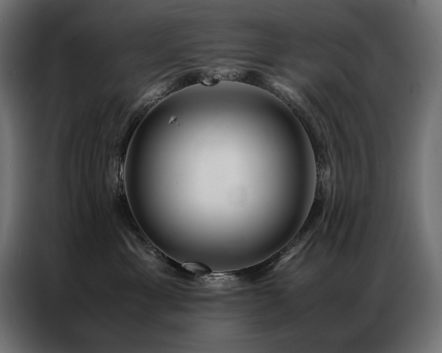 X0000086890429200704161253