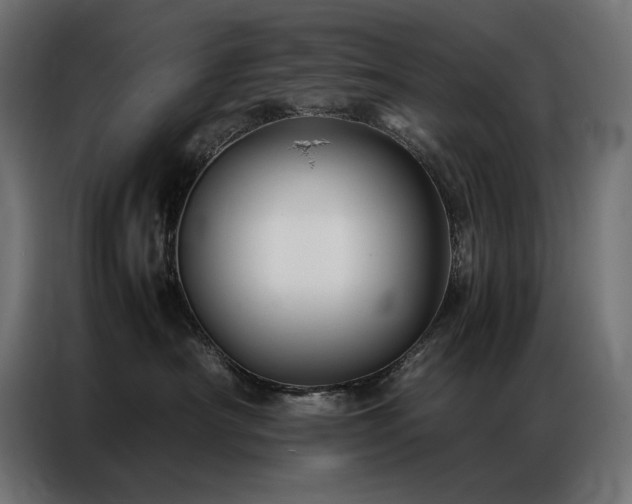 X0000086890430200704161253