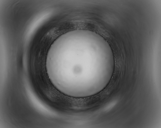 X0000086890431200704161253