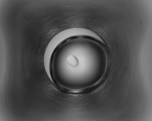 X0000086890432200704161253