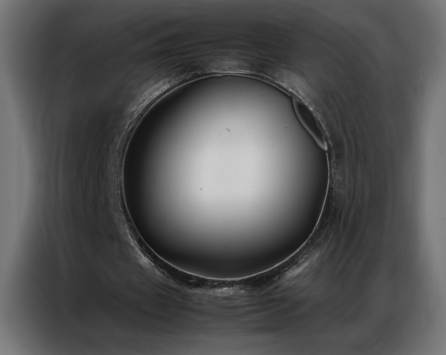 X0000086890433200704161252