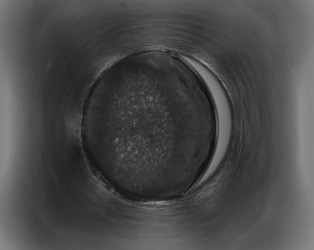 X0000086890434200704161252