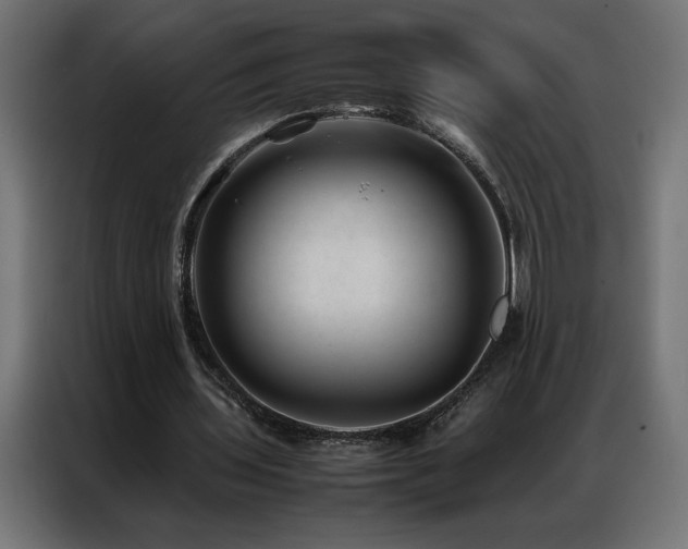 X0000086890435200704161252