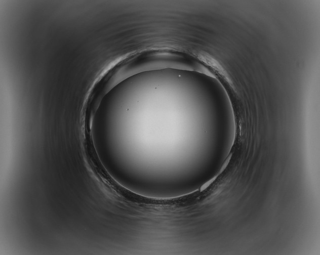 X0000086890436200704161252