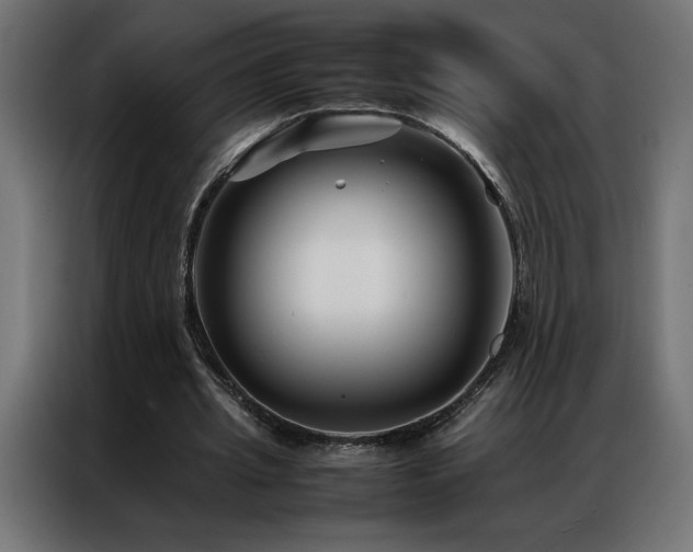 X0000086890437200704161252