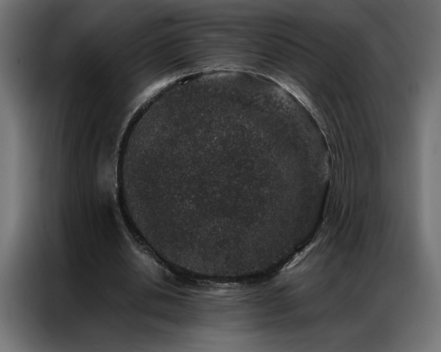 X0000086890438200704161252