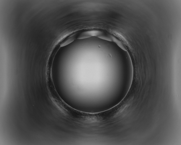 X0000086890439200704161252