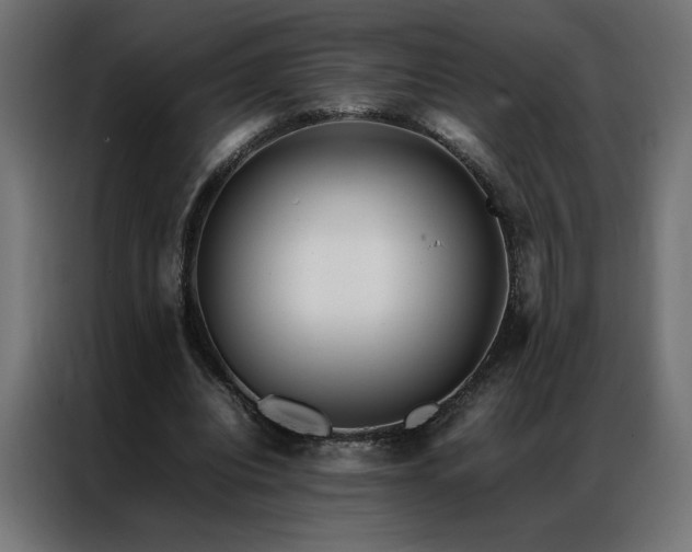 X0000086890440200704161252