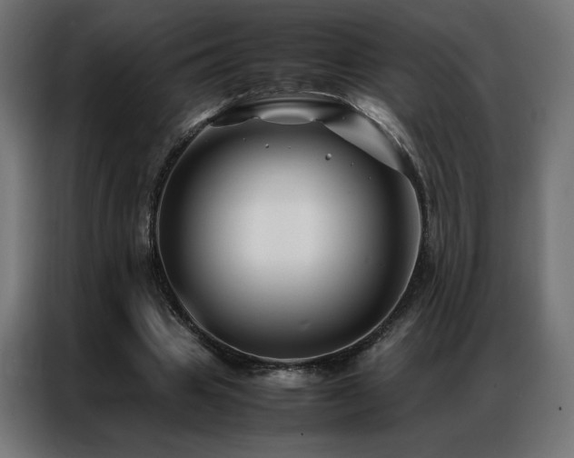 X0000086890441200704161252