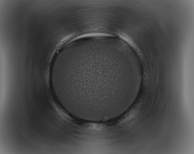 X0000086890442200704161252