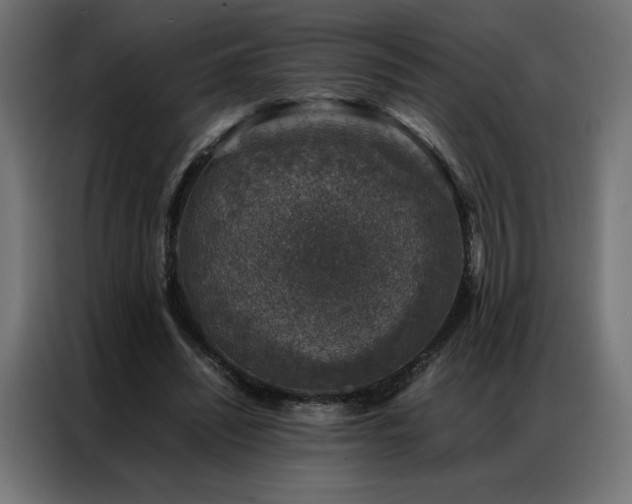 X0000086890444200704161252