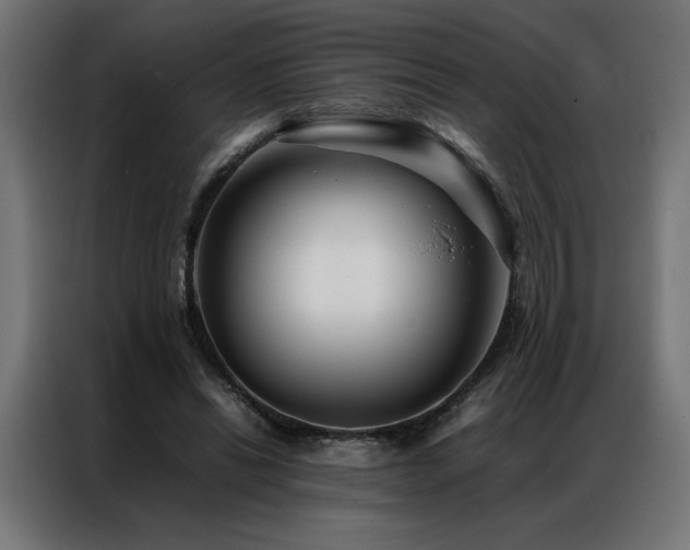 X0000086890446200704161252