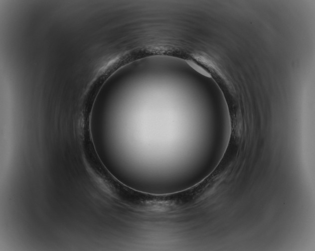 X0000086890448200704161252