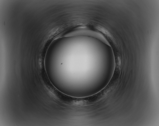 X0000086890452200704161252