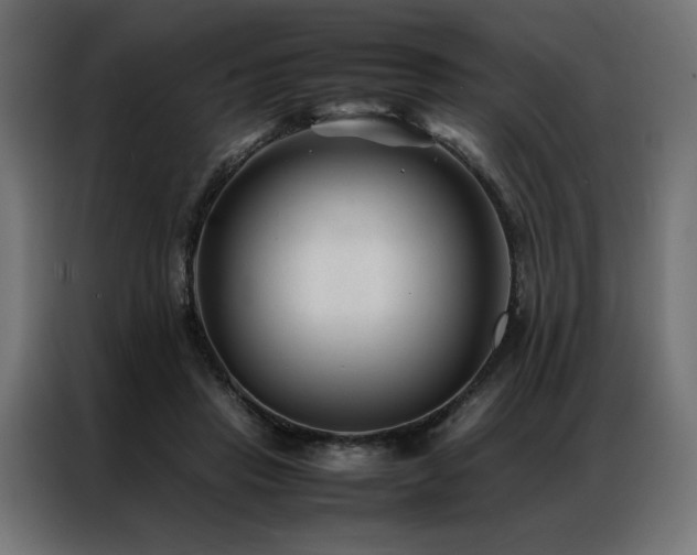 X0000086890453200704161252