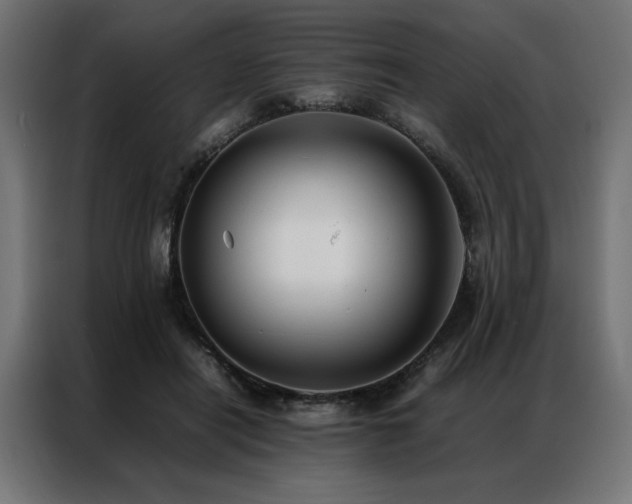 X0000086890454200704161252