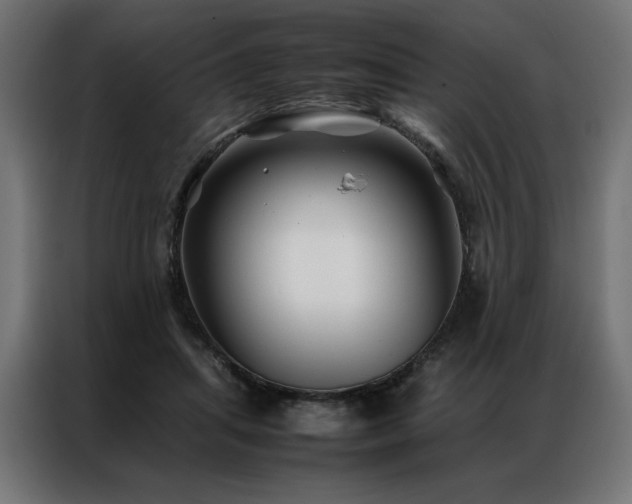 X0000086890455200704161252