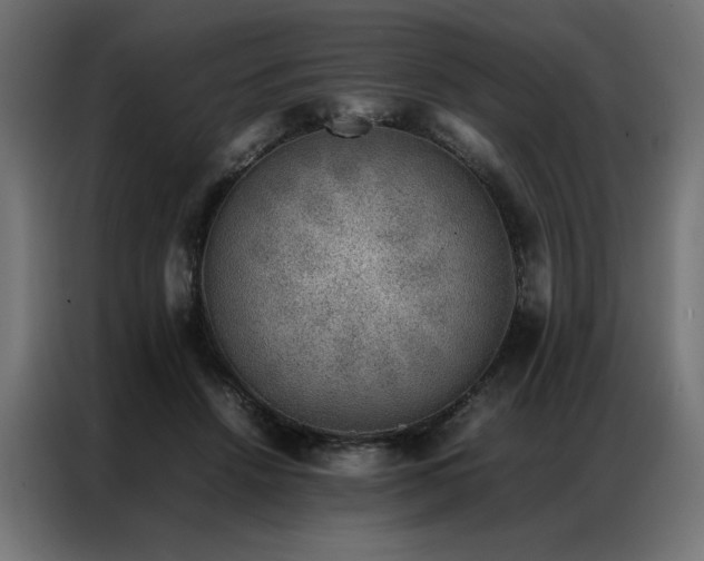 X0000086890456200704161252