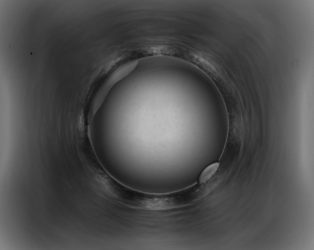 X0000086890461200704161252