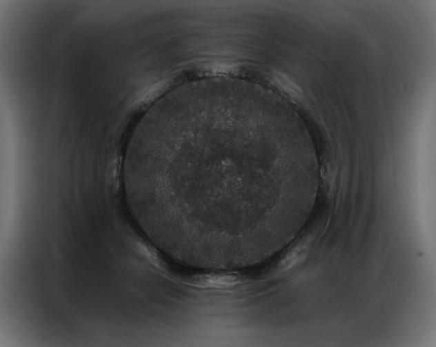 X0000086890462200704161252