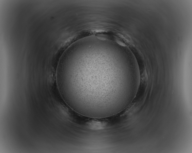 X0000086890464200704161252