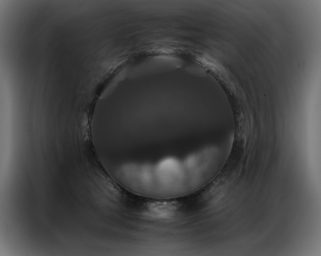 X0000086890465200704161252