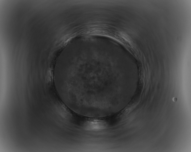 X0000086890467200704161252