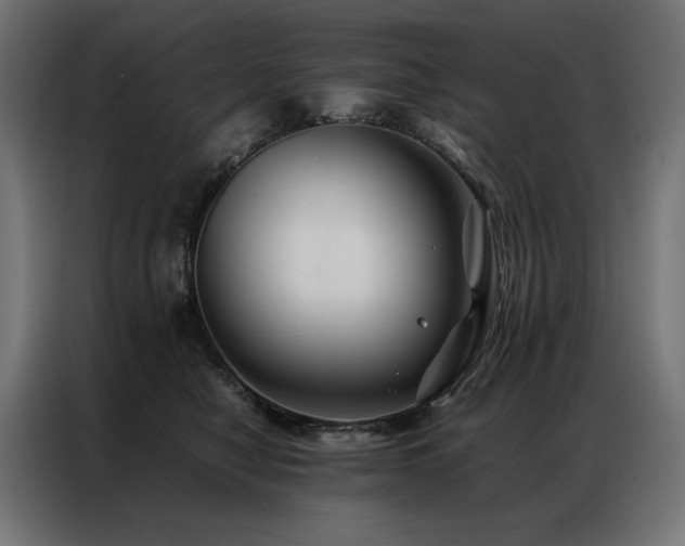 X0000086890470200704161252