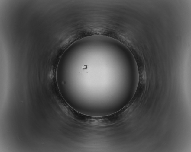 X0000086890472200704161252